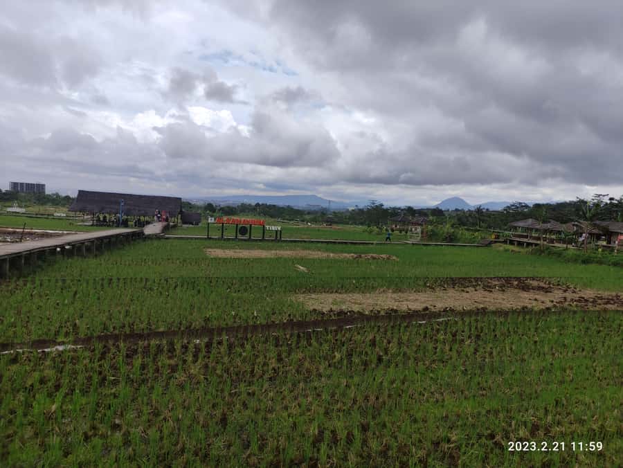 Jakarta : Botanical Garden, Waterfalls, and Rice Fields Tour - First stop: Bogor Botanical Garden and the meaning of Buitenzorg