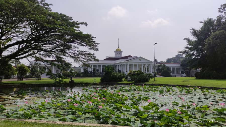 Jakarta : Botanical Garden, Waterfalls, and Rice Fields Tour - Kampung agro and rice fields near Mount Salak: learning the rice rhythm