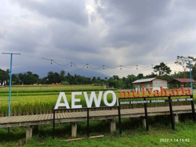 Jakarta : Botanical Garden, Waterfalls, and Rice Fields Tour - Wayang golek at the workshop: wooden puppets and a show