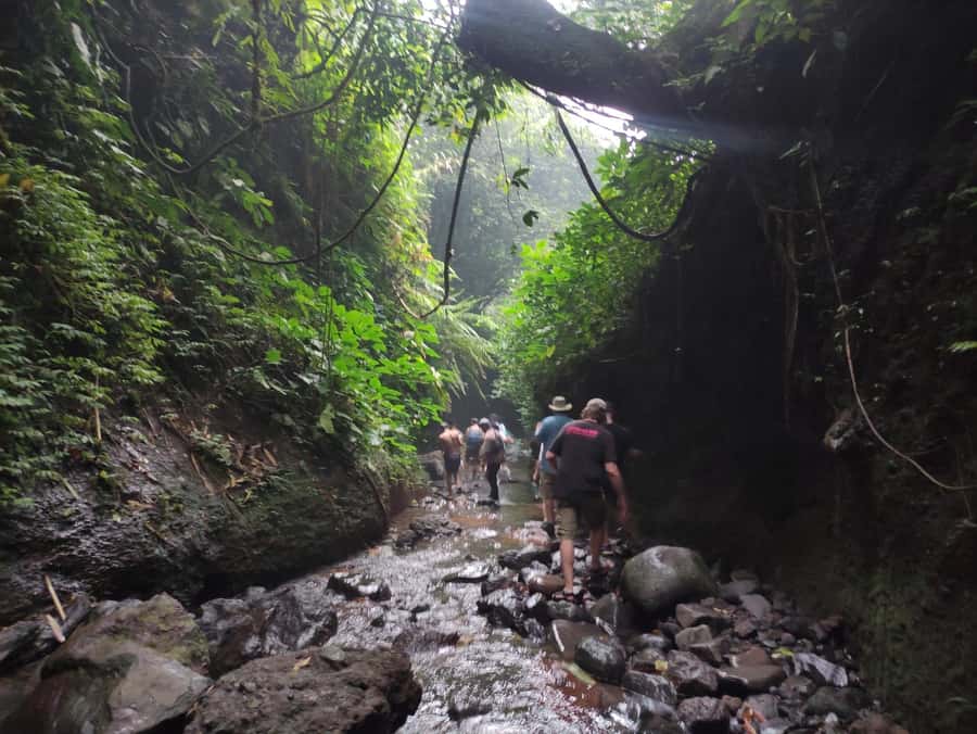 Jakarta : Botanical Garden, Waterfalls, and Rice Fields Tour - Curug Nangka waterfall: river walking and a cool finish