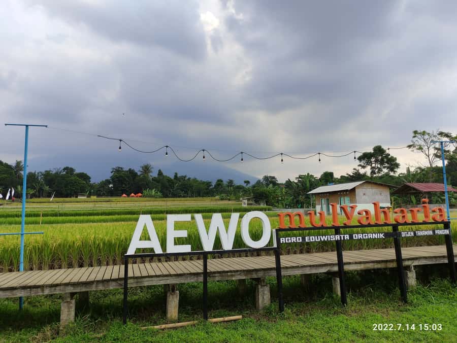 Jakarta : Botanical Garden, Waterfalls, and Rice Fields Tour - Wayang golek at the workshop: wooden puppets and a show