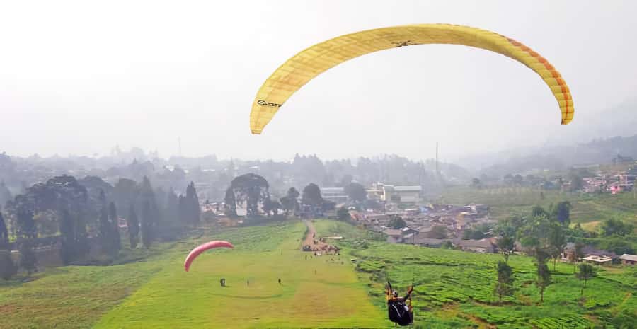 Jakarta: Paragliding on Top Mountain & Tea Plantation - Key Points Worth Knowing Before You Go