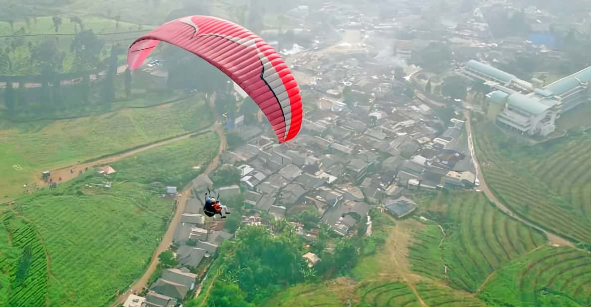 Jakarta: Paragliding on Top Mountain & Tea Plantation - The Calm Parts You Might Not Expect (But Will Appreciate)