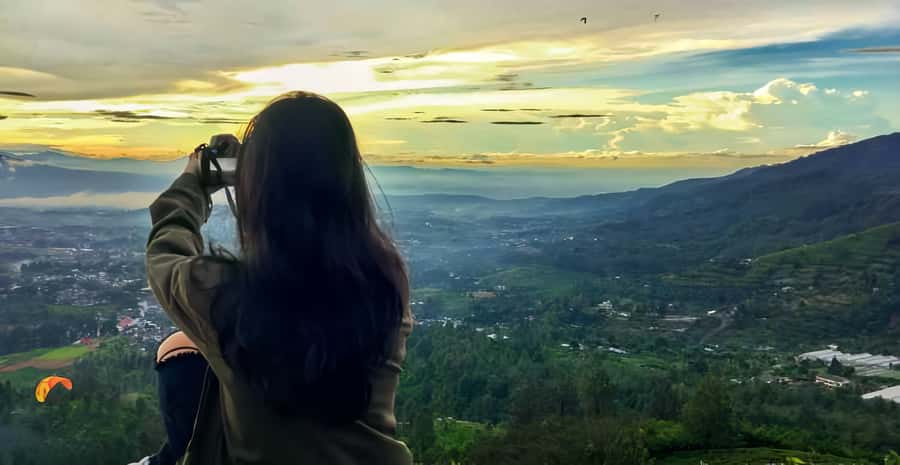 Jakarta: Paragliding on Top Mountain & Tea Plantation - Price and Value: What $184 Covers in Real Life