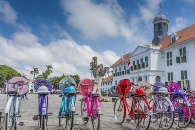 Jakarta Private Tour with local Guide & Lunch - Your Guide and Driver: Where the Best Jakarta Tips Actually Come From