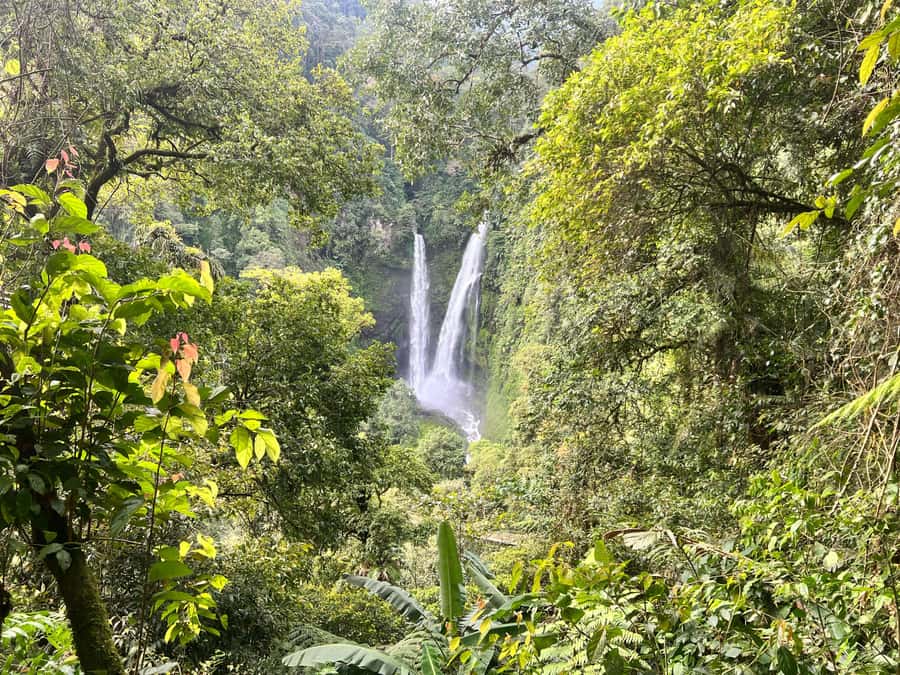Jakarta: Rainforest Hiking to Waterfall & Suspension Bridge - Why This Rainforest Day Trip Feels Like a Real Escape