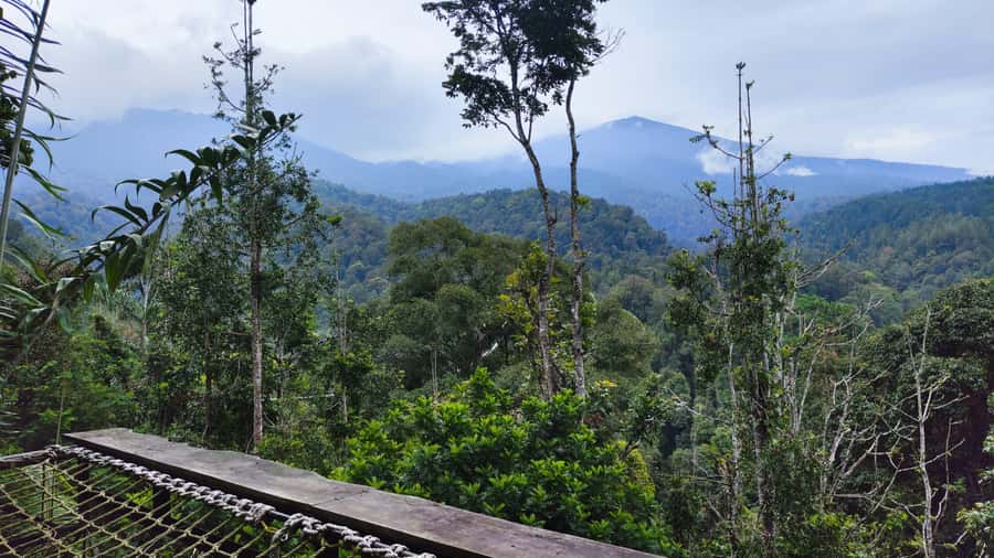 Jakarta: Rainforest Hiking to Waterfall & Suspension Bridge - Short Trail Wins: Sawer Waterfall and the Sultan Basket Ride