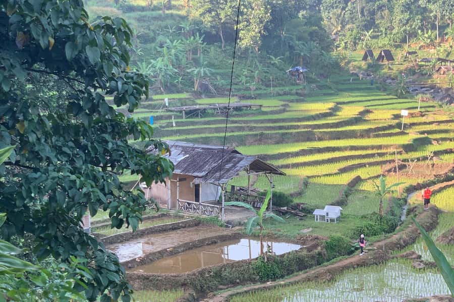 Jakarta: Sentul Pine Forest and Waterfall Trekking Tour - The swim moment and how to manage it