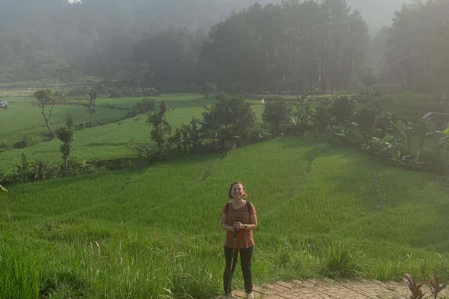 Jakarta: Sentul Pine Forest and Waterfall Trekking Tour - Price and value: why $89 feels fair (if you use what’s included)