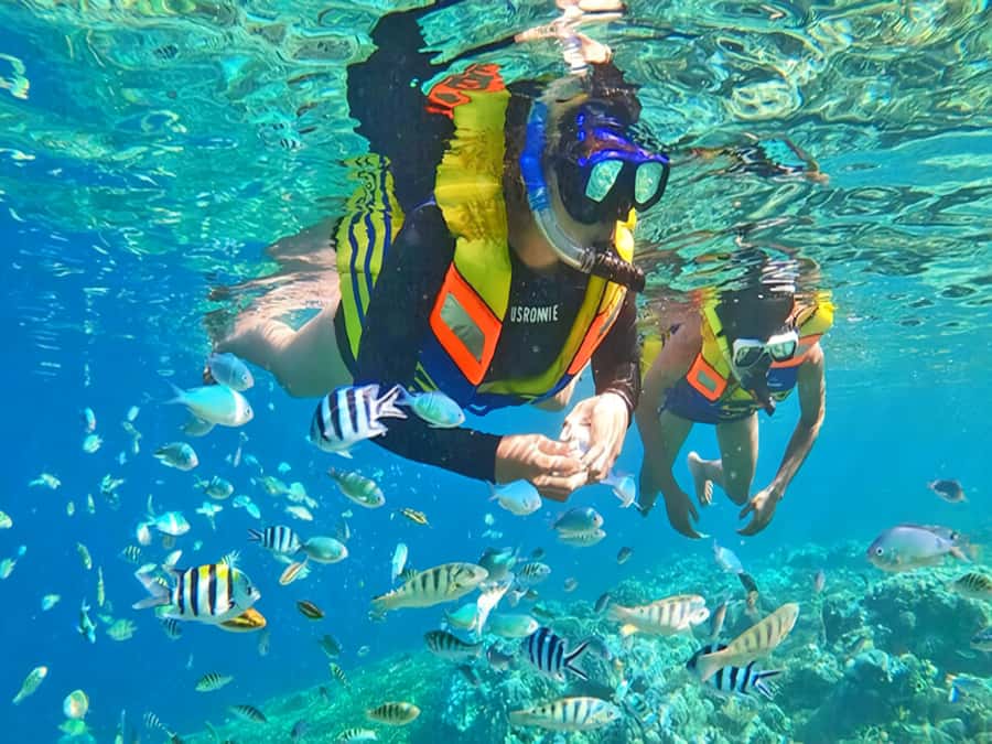 Jakarta: Thousand Island similar Bali Island Tour - The Bits You’ll Probably Care About Most