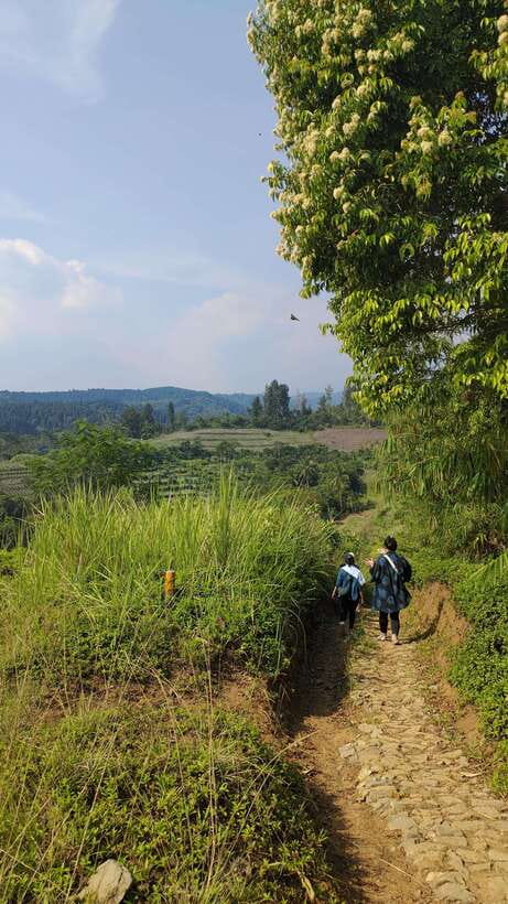 Jakarta to Bogor: Luhur Waterfall and Lake Lido Day Trip - From Jakarta to Curug Luhur: a day that feels like you left the city