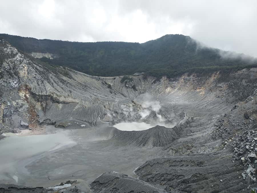 Jakarta: Volcano, Hot Spring, Tea, Rice Fields, &Coffee tour - Timing lunch and breaks around the volcano-and-tea rhythm