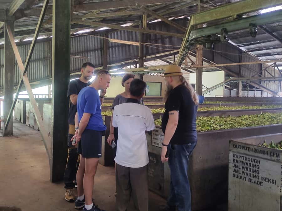 Jakarta: Volcano, Hot Spring, Tea, Rice Fields, &Coffee tour - Sari Ater Hot Spring: sulfur soak to reset after the hike