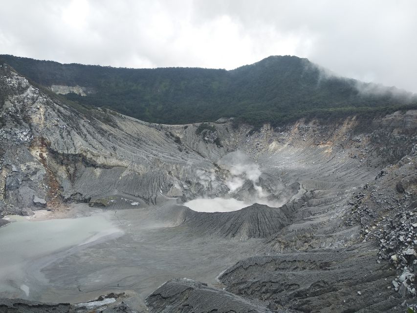 Jakarta: Volcano, Hot Spring, Tea, Rice Fields, &Coffee tour - What’s included, what costs extra, and where the value comes from
