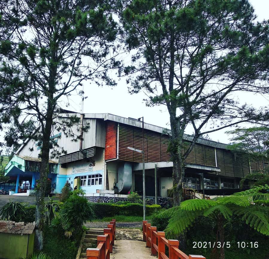 Jakarta :Volcano, HotSpring, Tea Factory, RiceField, &Coffee - Subang Regency drive: where rice fields and villages come into focus