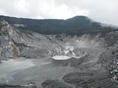 Jakarta :Volcano, HotSpring, Tea Factory, RiceField, &Coffee - Pineapple Fruit Paradise: quick, sweet, and very West Java