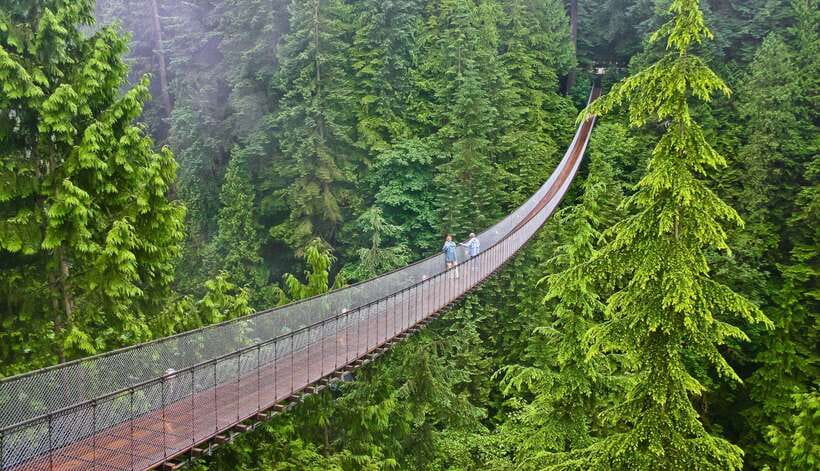 Jakarta: Volcano or Suspension Bridge,Ricefield & Hot Spring - Key highlights you will actually care about