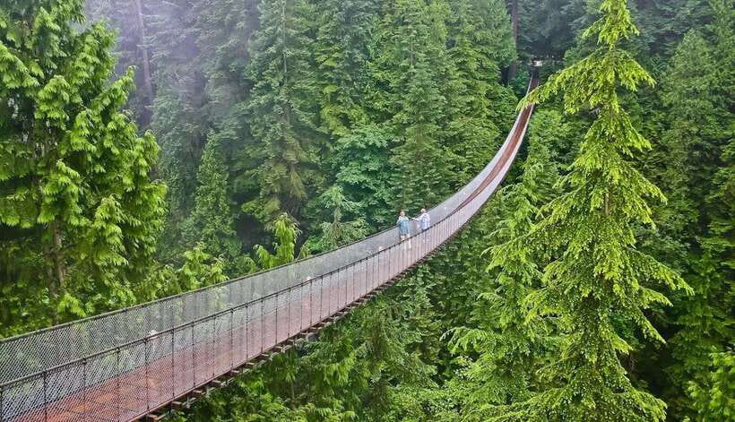 Jakarta: Volcano, Suspension Bridge, and Hot Spring Tour - A 1-day tour that still feels like three real experiences