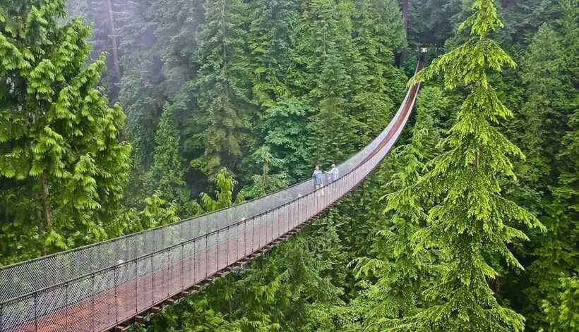 Jakarta: Volcano, Suspension Bridge, and Hot Spring Tour - Rengganis Ciwidey: where the suspension bridge and tea culture meet