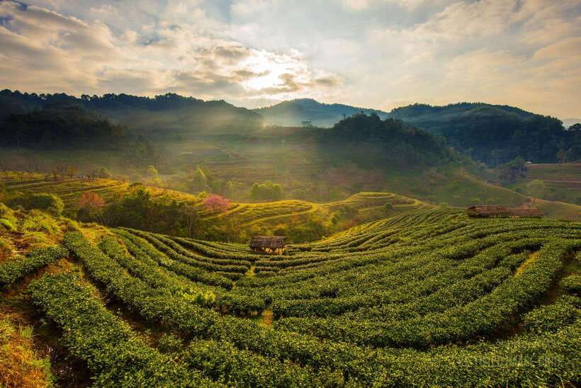 Jakarta: Volcano, Suspension Bridge, and Hot Spring Tour - What $128 buys you: a value check that’s about more than the number