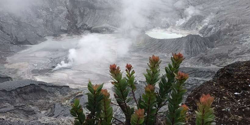 Jakarta: Volcano, Tea/Rice Fields, Hot Spring, Local Food - Subang’s scenic stop: a quick reset before the climb
