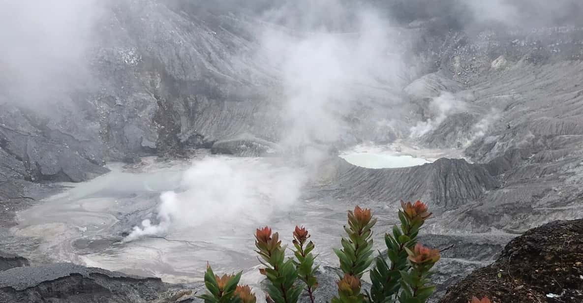 Jakarta: Volcano, Tea/Rice Fields, Hot Spring, Local Food - Lembang lunch and fruit paradise: the flavors are half the point