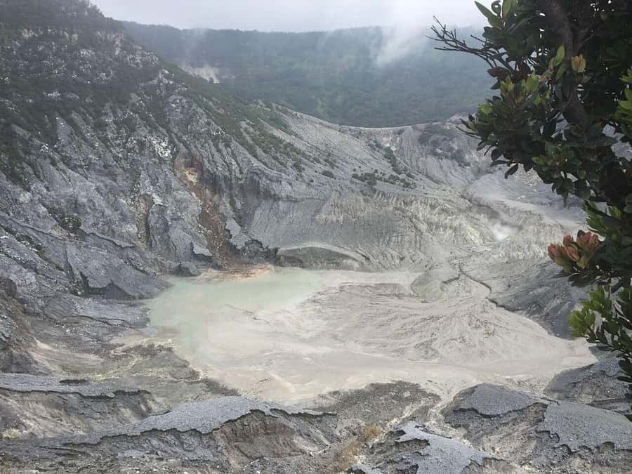 Jakarta: Waterfalls, Volcano, White Crater, Tea, Hot Spring - Key things that make this trip worth your time