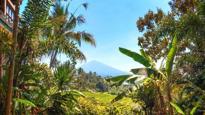 Jatiluwih Batukaru Mountain Nature's Best Tour - Key points that make this tour worth your morning