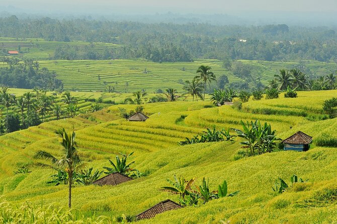 Jatiluwih Batukaru Mountain Nature's Best Tour - Pura Luhur Batukaru Temple: Quiet, Forested, and Sacred