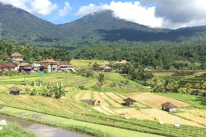 Jatiluwih Batukaru Mountain Nature's Best Tour - The Road Time, Rain, and Motion-Sickness Reality Check