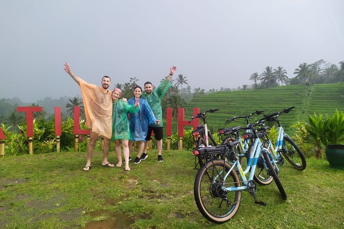 Jatiluwih E-bikes Tour Cycling Group - Guides who explain water, culture, and the plants themselves