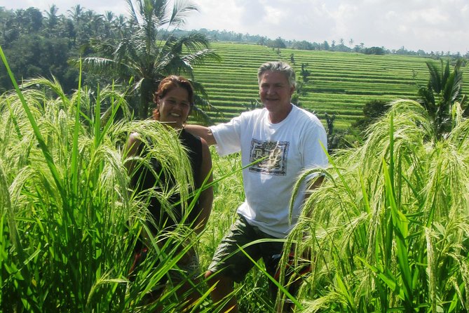 Jatiluwih full day e-bike cycling with lunch & trekking program - Who should book: the best fit for Bali’s e-bike + rice terrace trek day