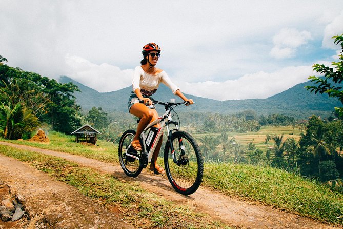 Jatiluwih in detail (1 h. e-bike tour in the rice terraces) - Key things to know before you ride