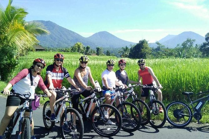 Jatiluwih in detail (1 h. e-bike tour in the rice terraces) - Why Jatiluwih on an E-Bike Feels Different