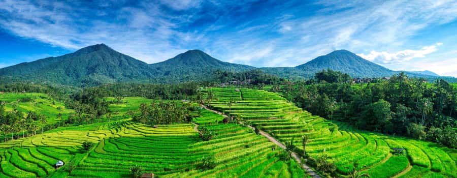Jatiluwih (UNESCO Site) 2-Hour E-Bike Cycling Tour - What to Wear and Bring for a Comfortable Ride