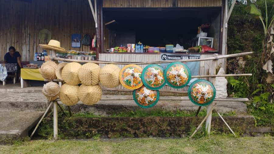 Jatiluwih (UNESCO Site) 2-Hour E-Bike Cycling Tour - Inside the UNESCO Core: Rice Terraces, Water Systems, and What the Guide Tells You