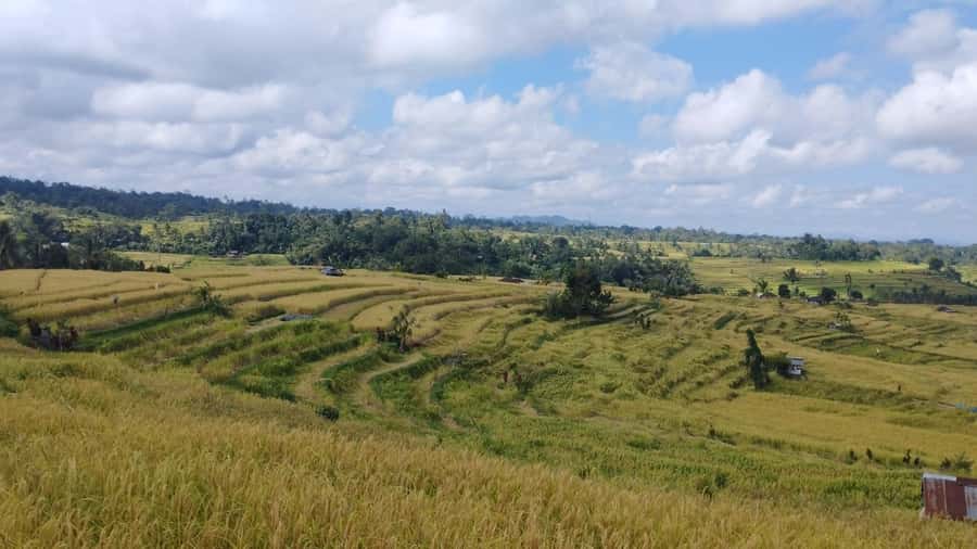 Jatiluwih (UNESCO Site) 2-Hour E-Bike Cycling Tour - Between Four Extinct Volcanoes: How the Valley Shaped the Views