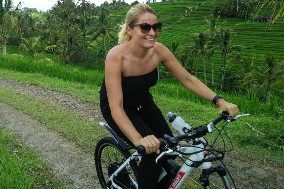 Jatiluwih (UNESCO Site) 2-Hour E-Bike Cycling Tour - Price and Value for $69: What’s Included (and What That Means for You)