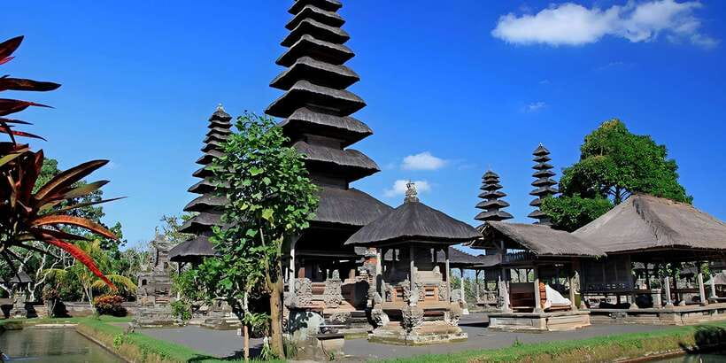 Jatiluwih VW Safari Bali Tour - A Classic VW Safari Day: Why This One Feels Different