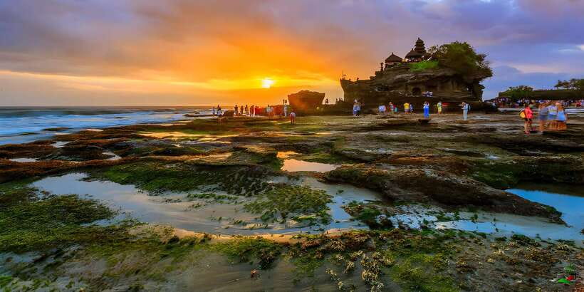 Jatiluwih VW Safari Bali Tour - Bedugul Traditional Market (and Candikuning Fruit Stops): A Real Break in the Day