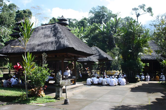 Jatiluwih VW Safari Bali Tour - Volkswagen Classic Car Trip - Price and value: what $40 per person really covers