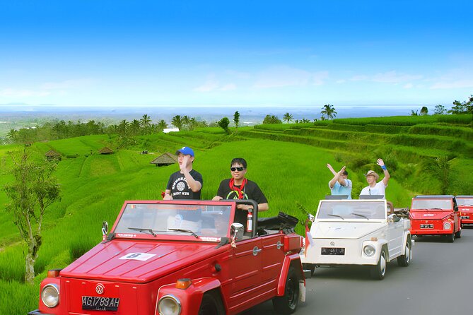 Jatiluwih VW Safari Bali Tour - Volkswagen Classic Car Trip - Jatiluwih Rice Terraces: UNESCO-level scenery and the subak system