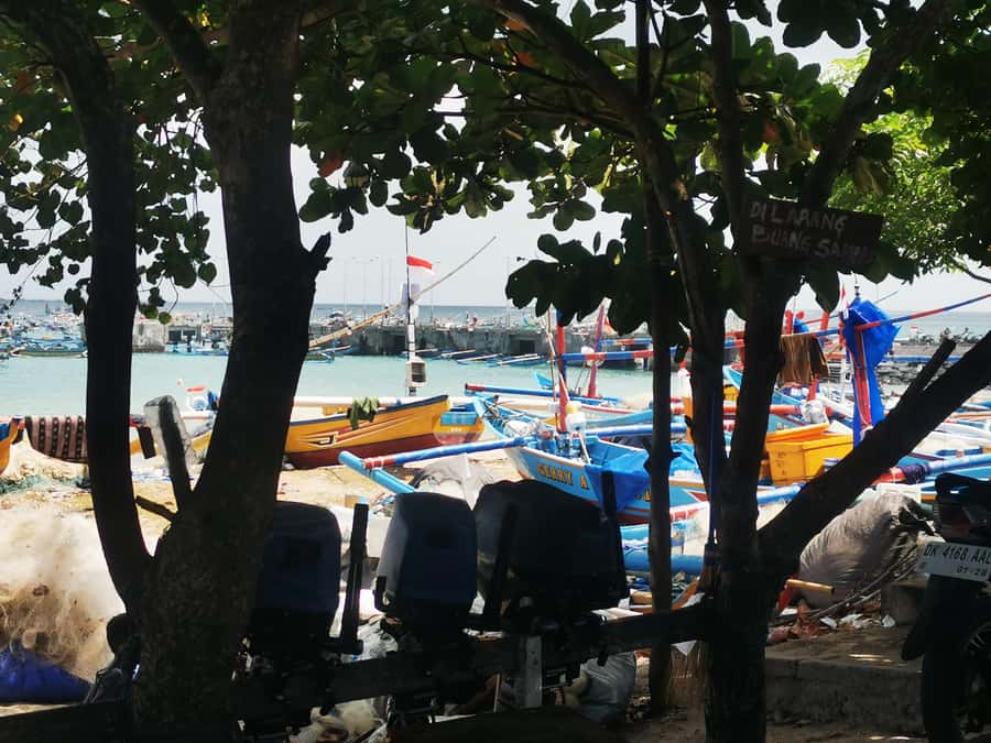Jimbaran: Exotic Culinary Fish and Seafood Tour - What actually happens on this 3-hour seafood tour