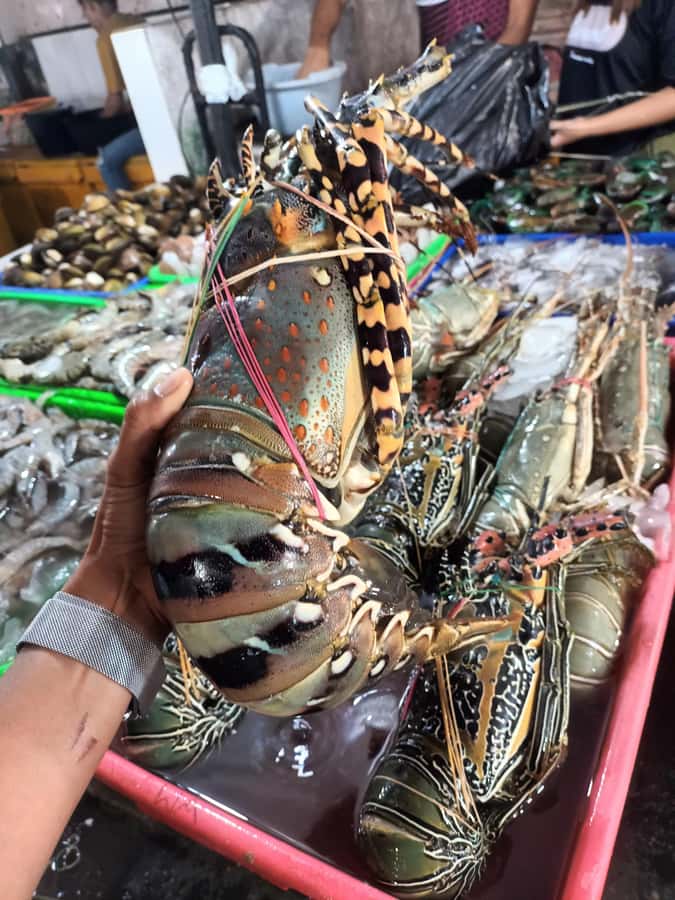 Jimbaran: Exotic Culinary Fish and Seafood Tour - From market stalls to chef-prepared lunch nearby