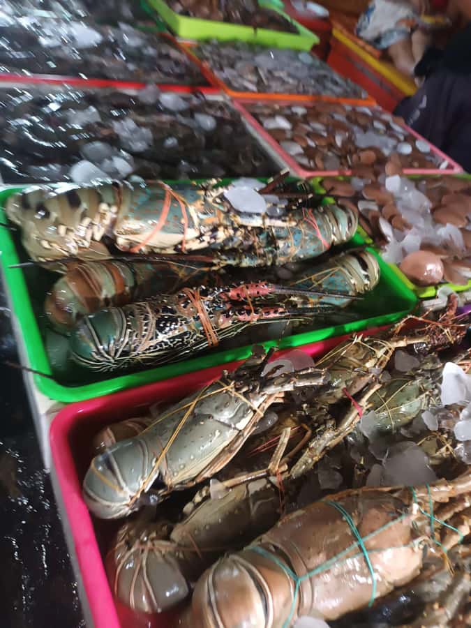 Jimbaran: Exotic Culinary Fish and Seafood Tour - Price and value: why $18 can be a good deal