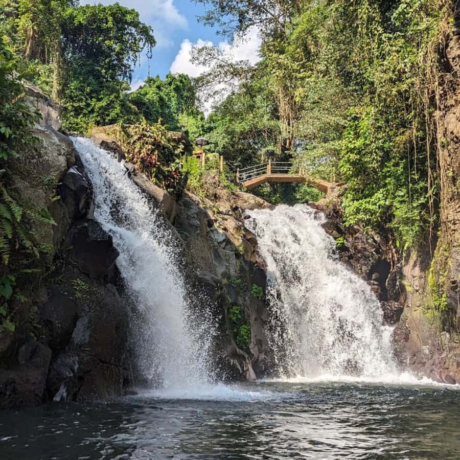 Jumping Sliding at Aling- Aling Waterfall and Handara Gate - Coffee Plantation Tasting at the End of the Day