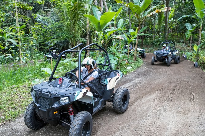Jungle Buggy Adventure and Ubud Tour - Tegalalang Rice Terrace: The Ubud Classic, Timed for Real Enjoyment