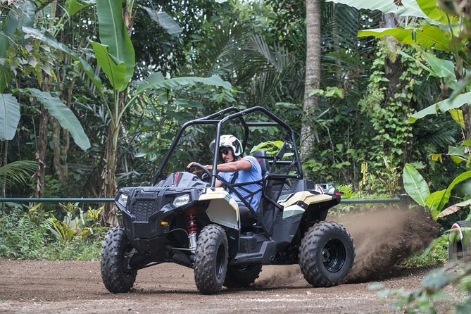 Jungle Buggy Adventure and Ubud Tour - ATV Rules: Drivers 18+ and Tandem Passengers 12+