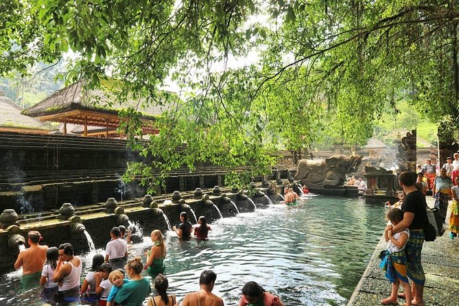 Jungle Swing - Volcano - Water Temple - Monkey Forest and Waterfall Tour - Tirta Empul Temple: sacred springs and purification baths