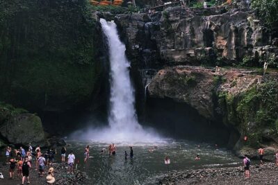 Jungle Swing - Volcano - Water Temple - Monkey Forest and Waterfall Tour - Tegenungan Waterfall: a one-hour hit of jungle scenery